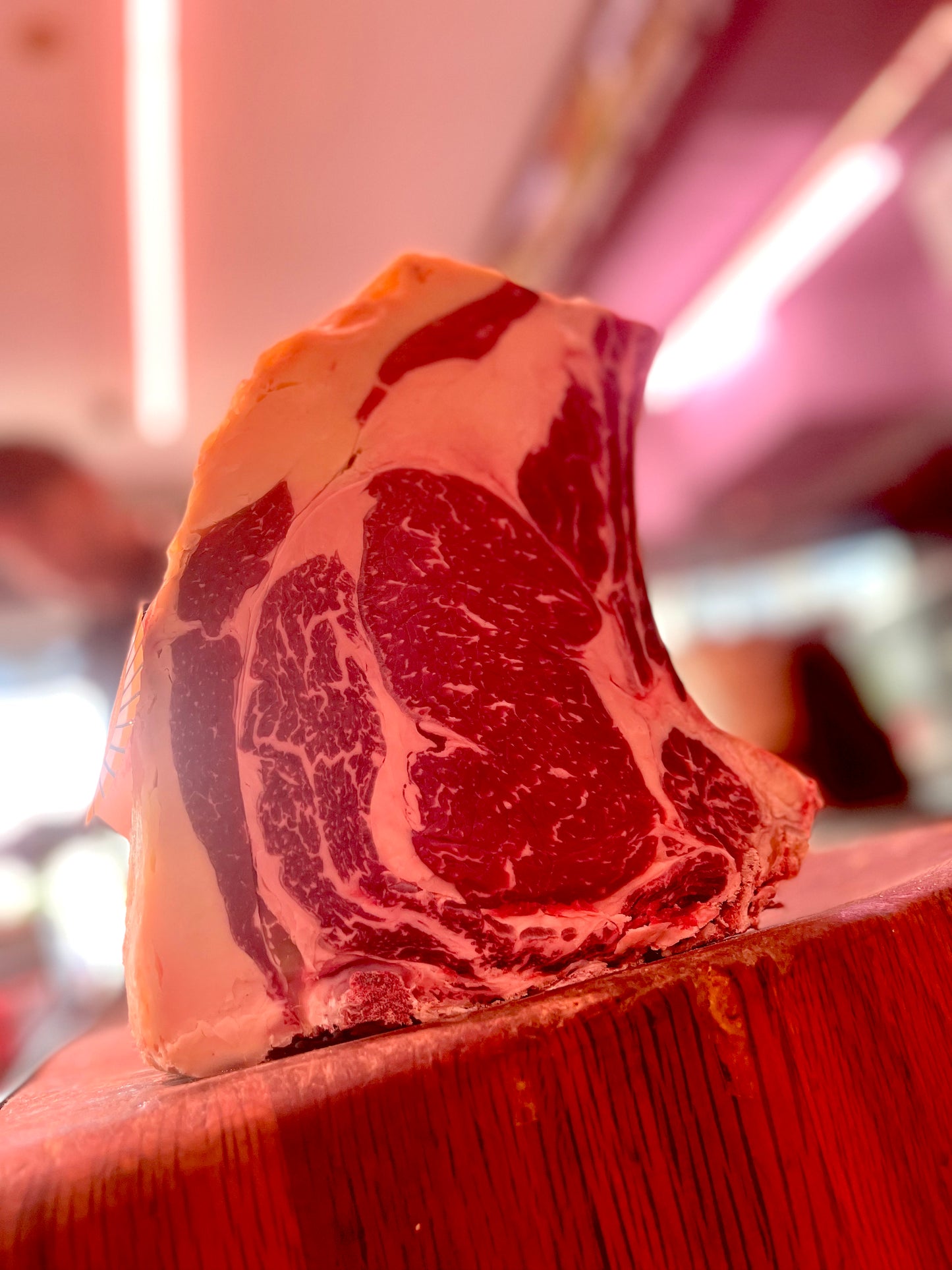 Vaca Simmental Premium +45DA