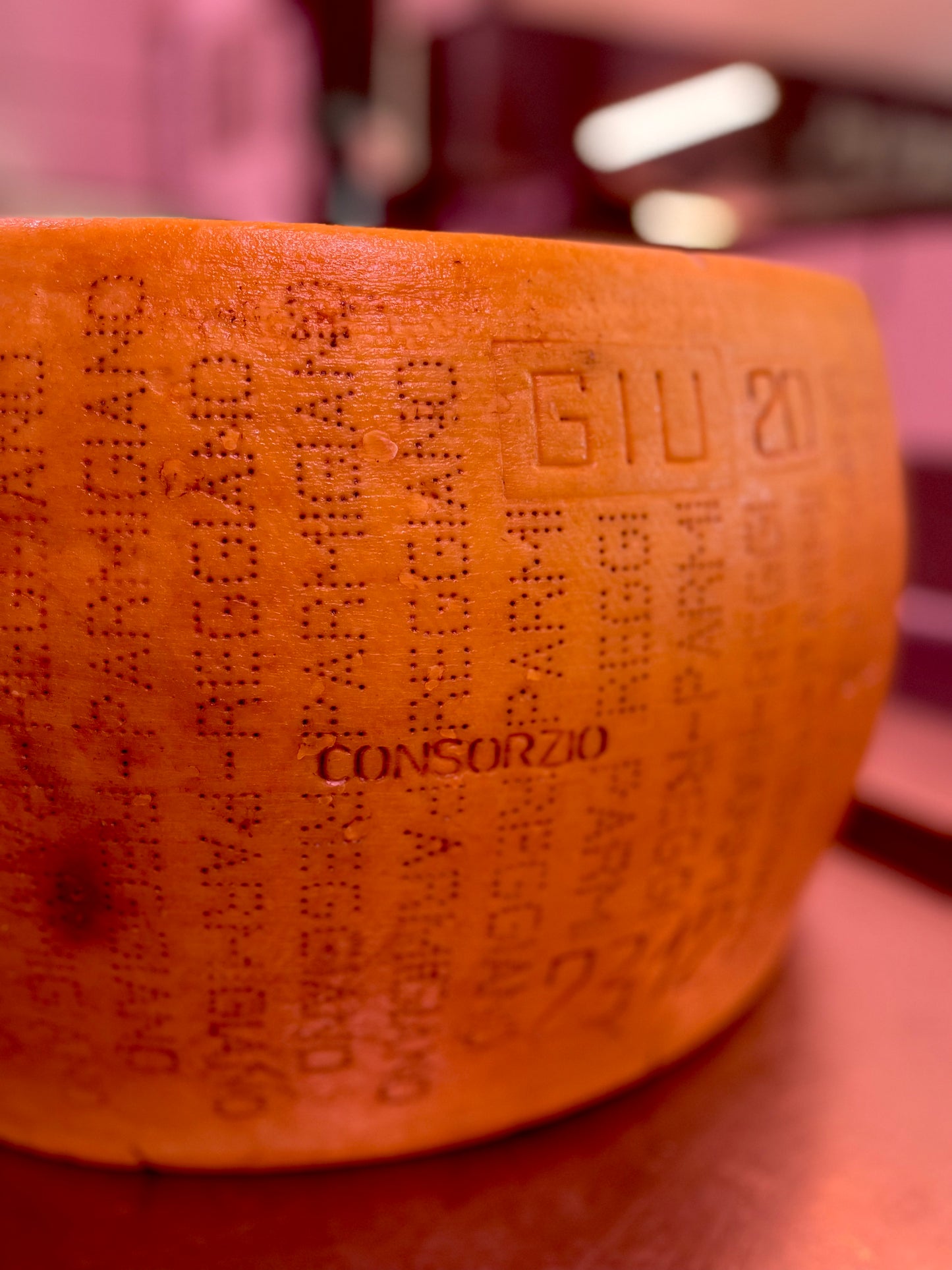 Queso Parmigiano Reggiano DOP +36